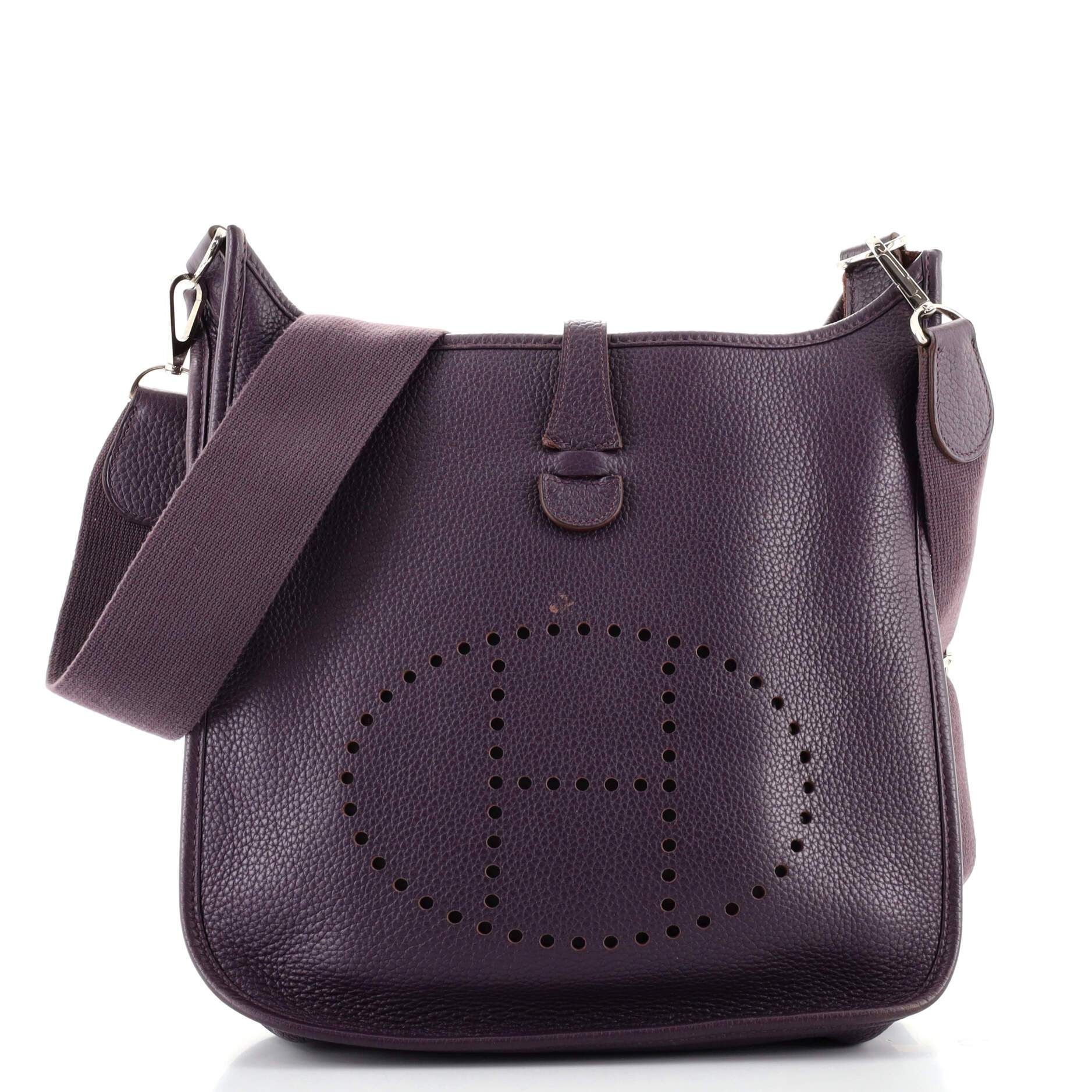 hermes evelyne raisin