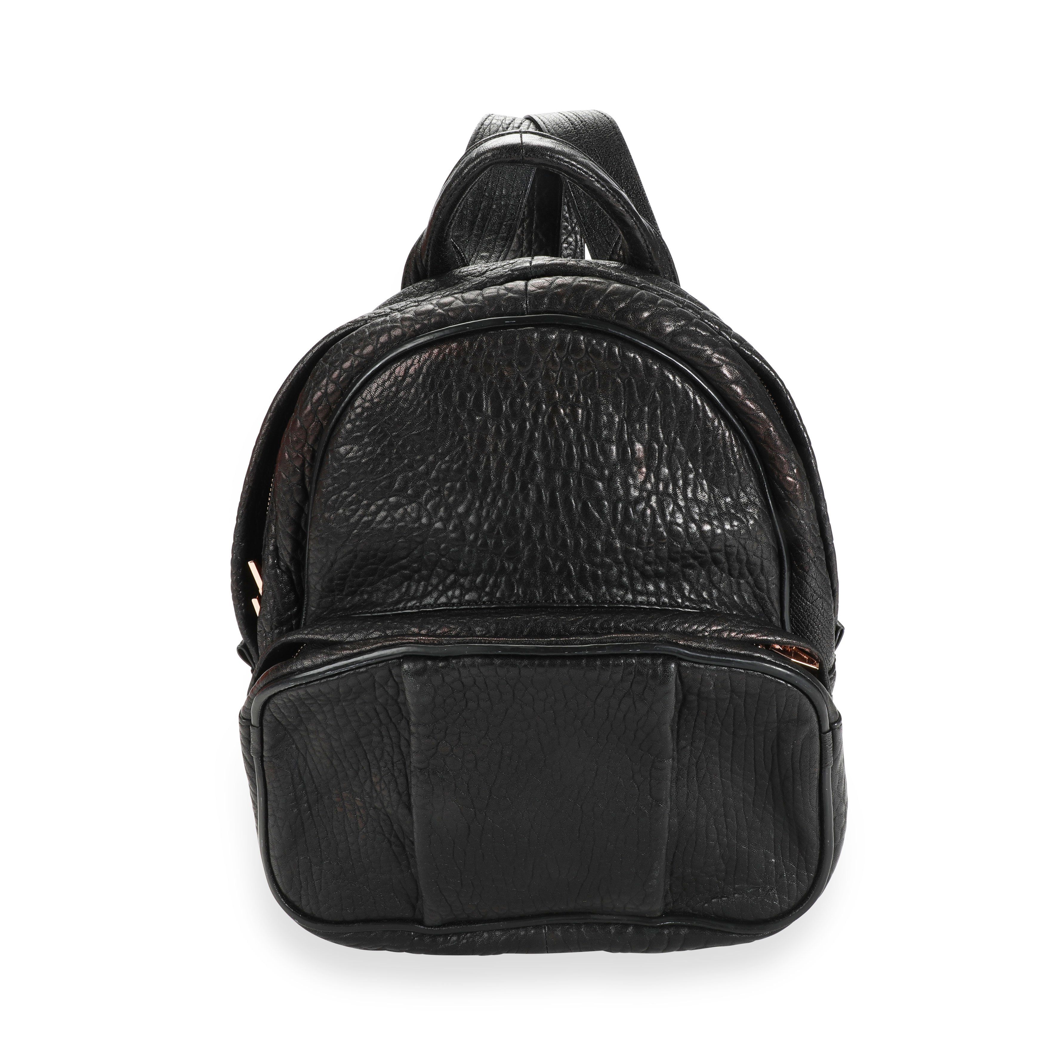 Alexander Wang Dumbo Backpack 2025 | ciclica.eu