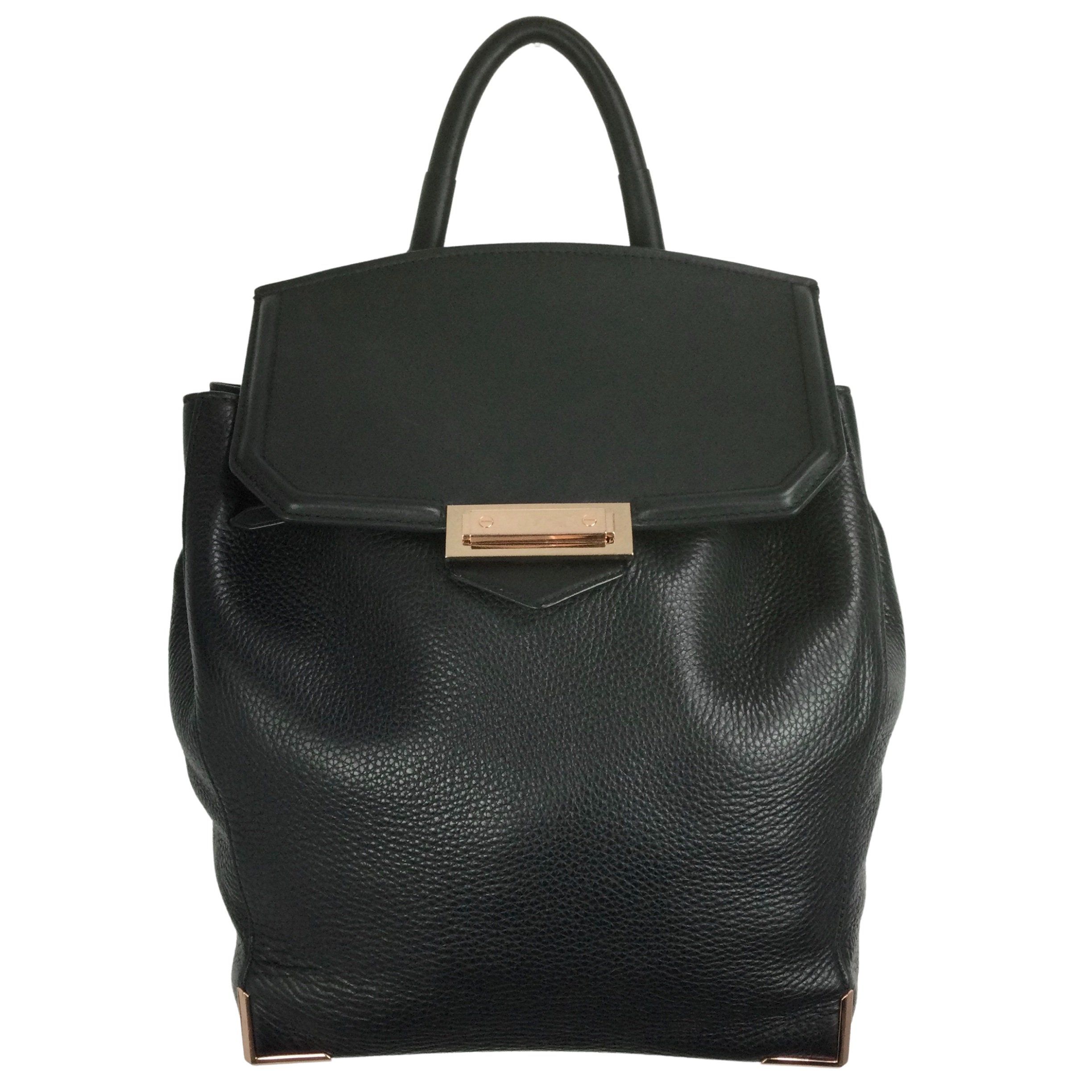 alexander wang prisma skeletal backpack