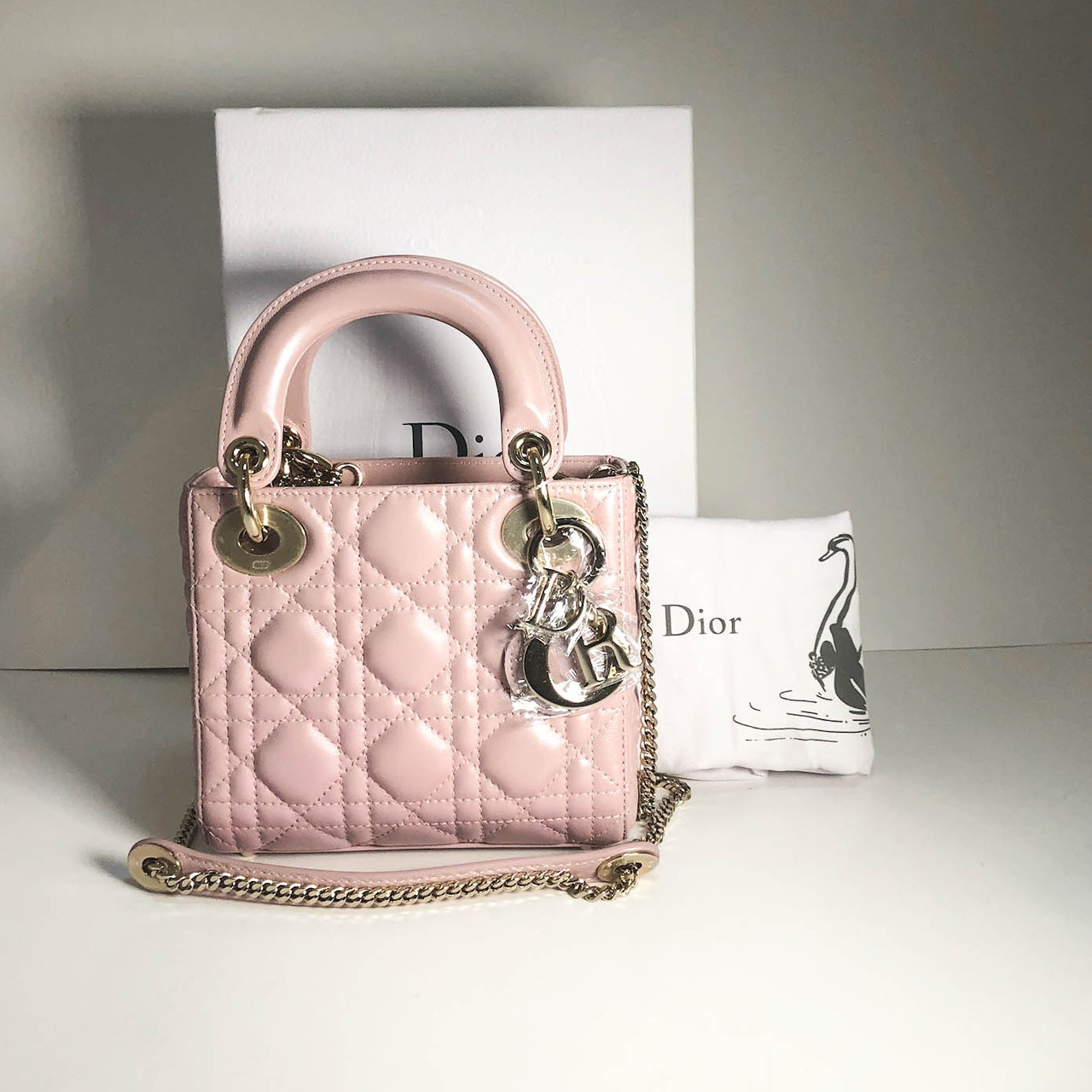 Mini Pink Lady Dior Leprix