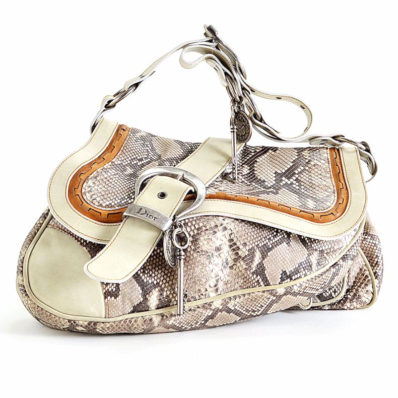 dior saddle python